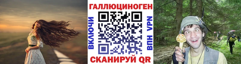 Псилоцибиновые грибы мицелий  магазин  наркотиков  Люберцы 