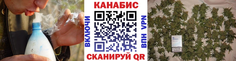 как найти закладки  Люберцы  ОМГ ОМГ сайт  Канабис сатива 